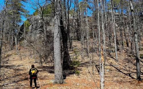 A hiker with a backpack walks on a trail surrounded by bare trees and rocky terrain under a clear blue sky.