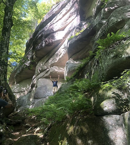 A person stands triumphantly on a rocky outcrop surrounded by lush greenery and tall trees.