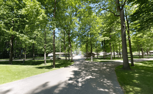 A serene park pathway lined with tall trees, leading to a recreational area in the distance. Bright and sunny day.
