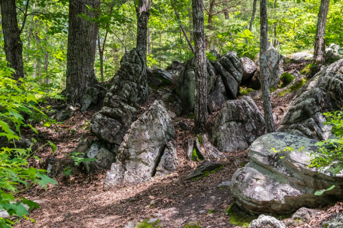 A forest scene featuring large rocks surrounded by green foliage and trees, with a dirt path visible.