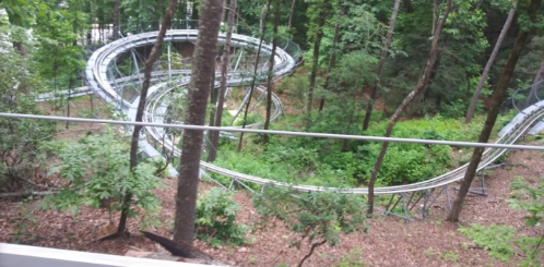 A winding roller coaster track through a lush green forest, surrounded by trees and foliage.