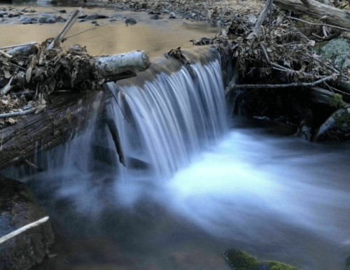 A serene waterfall cascades over a log in a tranquil stream, surrounded by rocks and fallen leaves.