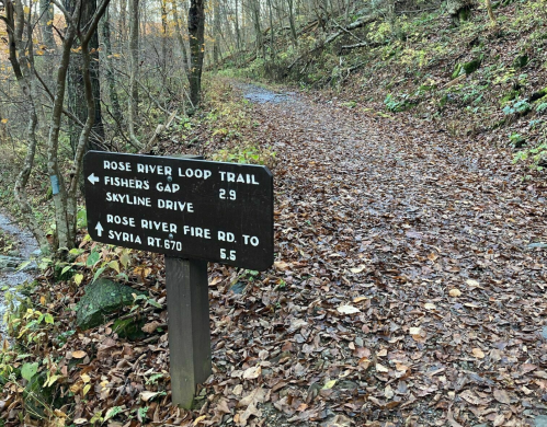 Trail sign on a wooded path, indicating directions to Rose River Loop Trail, Fishers Gap, and Skyline Drive.