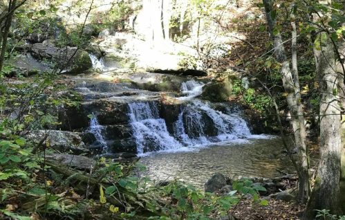 A serene waterfall cascades over rocks, surrounded by lush greenery and autumn foliage. Sunlight filters through the trees.