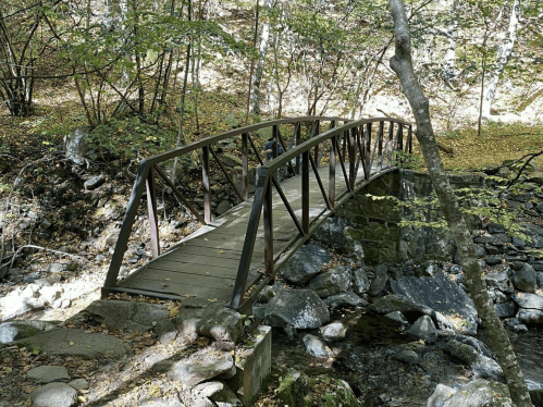 A small metal bridge spans a rocky stream, surrounded by trees and autumn foliage.