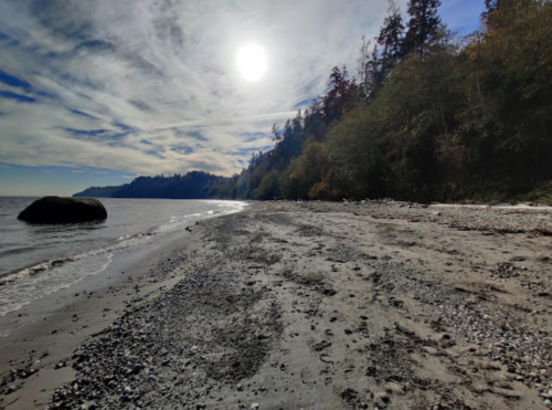 A serene beach scene with a rocky shore, trees in the background, and a bright sun shining in a blue sky.
