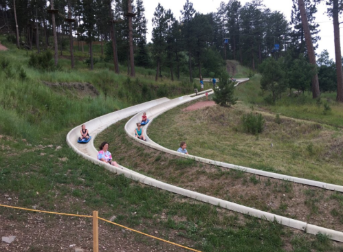 Children enjoying a summer day on a winding slide in a forested area, surrounded by greenery and trees.