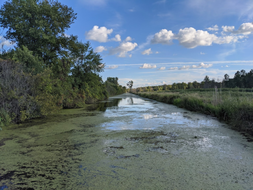 A serene waterway surrounded by lush greenery and blue skies, with clouds reflecting on the water's surface.