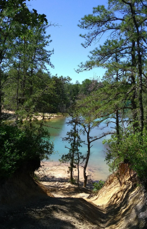 A serene view of a sandy path leading to a calm lake, surrounded by trees under a clear blue sky.