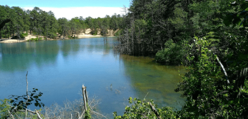 A serene lake surrounded by lush greenery and trees, reflecting the clear blue sky.