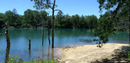 A serene lake surrounded by trees, with clear blue water and a sandy shore under a bright blue sky.
