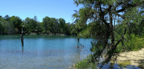 A serene lake surrounded by trees, with clear water and a sandy shore, featuring a few birds wading in the shallows.