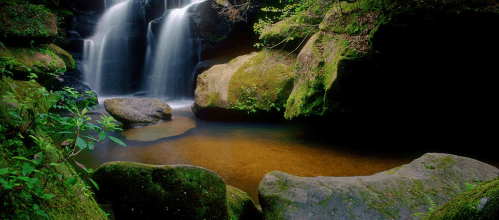 A serene waterfall cascades over moss-covered rocks into a calm pool, surrounded by lush greenery.