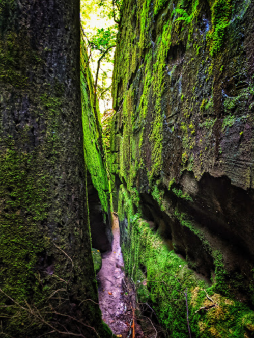 A narrow, moss-covered canyon surrounded by tall, rocky walls and lush greenery above.