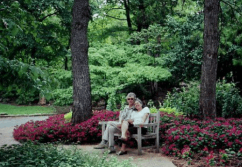 A couple sits on a bench surrounded by vibrant flowers and lush greenery in a serene garden setting.