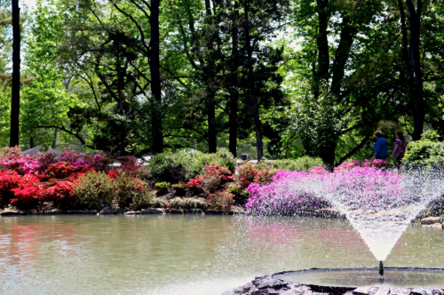 A serene pond with a fountain surrounded by vibrant flowers and lush green trees in a peaceful park setting.