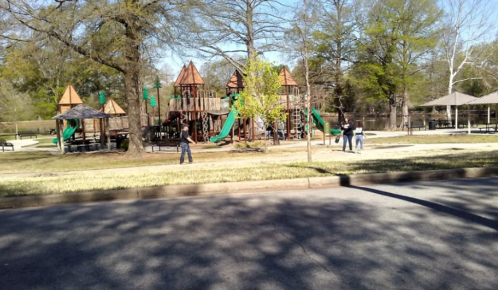 A playground with wooden structures and slides, surrounded by trees and grassy areas, on a sunny day.