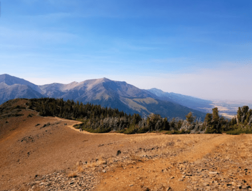 Scenic mountain landscape with a winding trail, trees, and a clear blue sky in the background.