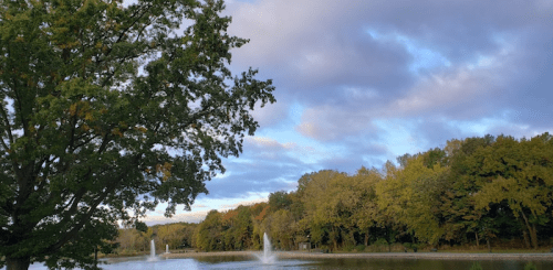 A serene park scene featuring a pond with fountains, surrounded by trees and a cloudy sky.