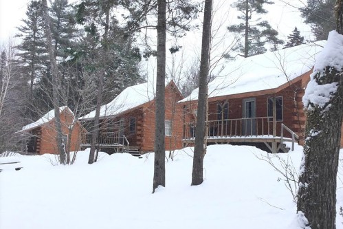 Two wooden cabins surrounded by snow and trees, with a clear winter sky above.