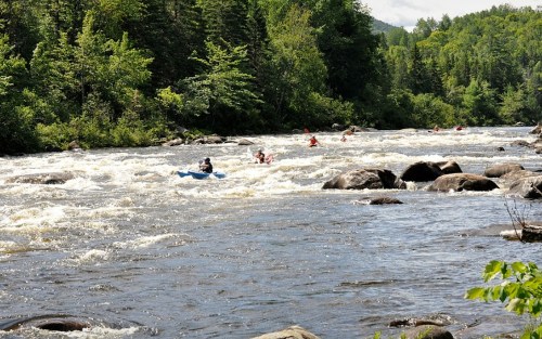 A river with rapids surrounded by lush greenery, featuring kayakers navigating the water.