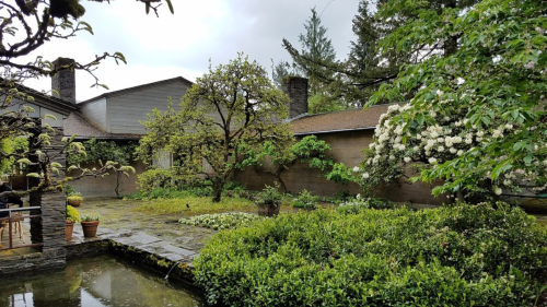 A serene garden with lush greenery, flowering trees, and a stone pathway beside a tranquil pond.