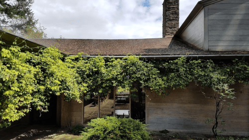 A rustic building partially covered in green vines, with a stone chimney and cloudy sky in the background.