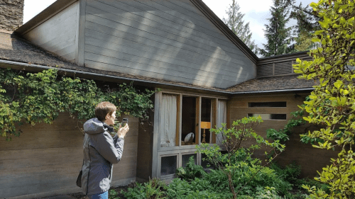 A person stands outside a modern wooden house, taking a photo amidst lush greenery and trees.