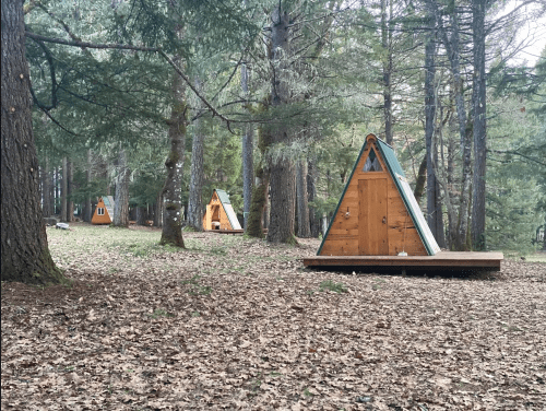 A serene forest scene featuring several wooden A-frame cabins among tall trees and fallen leaves.