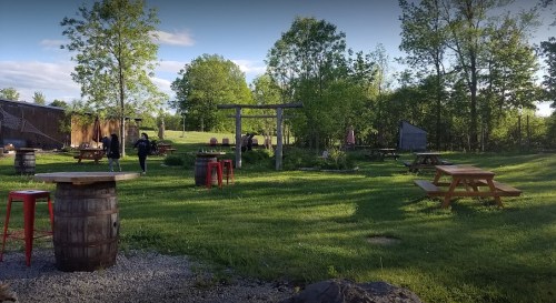 A grassy outdoor area with picnic tables, barrels, and trees, set against a clear blue sky.