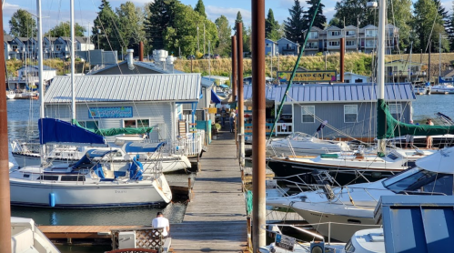 A marina with several boats docked alongside a wooden pier and waterfront buildings in the background.