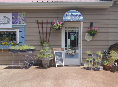 A charming shop entrance with a "Welcome" sign, potted plants, and a chalkboard menu outside.
