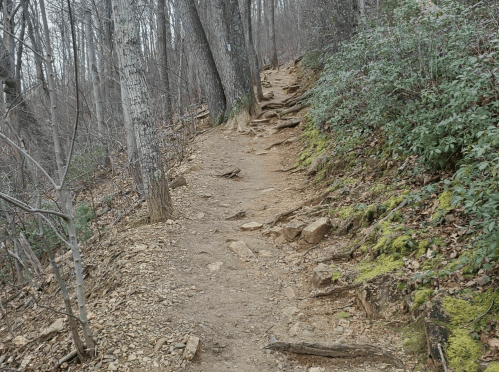A rocky, winding trail through a wooded area with bare trees and patches of green foliage.
