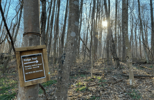 A wooden sign for Ridge Trail in a forest, indicating a 1.2-mile path and no pets allowed. Sunlight filters through trees.