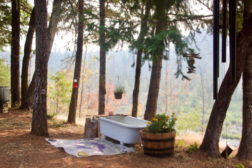 A serene outdoor space with a vintage bathtub, potted flowers, and trees, creating a peaceful, rustic atmosphere.