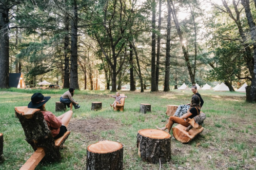 A group of four people sitting on log seats in a forest clearing, surrounded by trees and tents in the background.