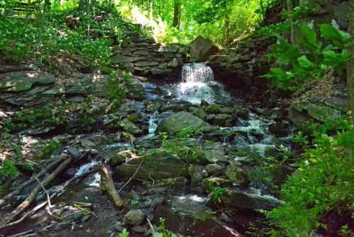 A serene forest scene featuring a small waterfall cascading over rocks, surrounded by lush greenery.