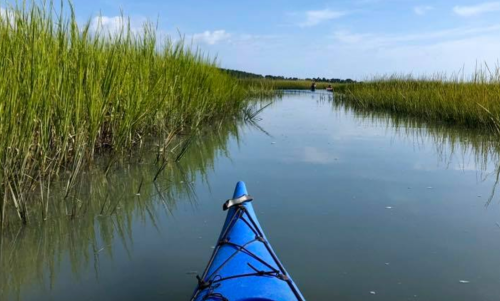 A blue kayak glides through a calm waterway surrounded by tall green grass under a clear blue sky.
