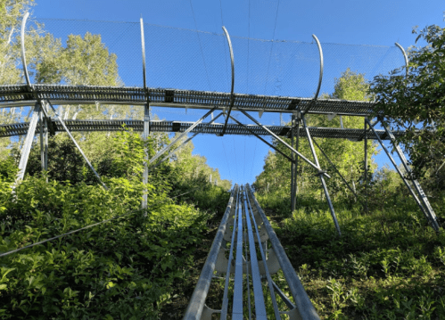 A metal roller coaster track winds through lush greenery under a clear blue sky.