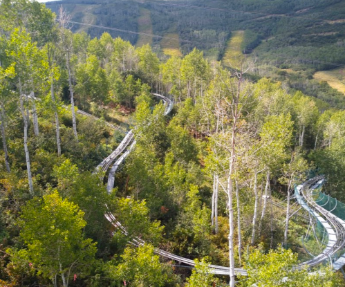 A winding roller coaster track through a lush green forest with trees and hills in the background.