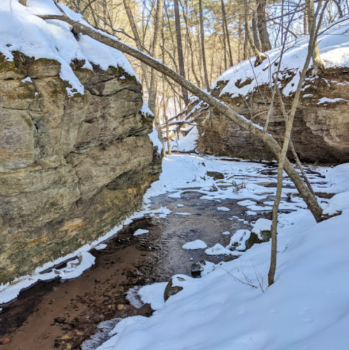 A snowy landscape featuring a narrow creek surrounded by steep rock walls and trees in a forested area.