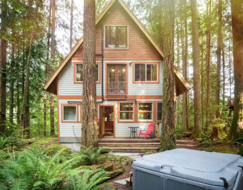 A cozy cabin surrounded by tall trees and ferns, featuring a hot tub in the foreground and a welcoming porch.