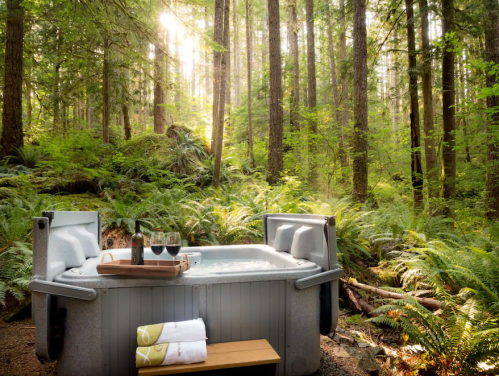 A hot tub surrounded by lush greenery and tall trees, with a wooden bench and glasses of wine nearby.