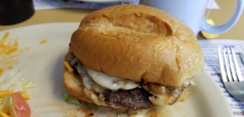 A close-up of a hamburger on a plate, featuring a bun, beef patty, cheese, and lettuce, with a side of salad.