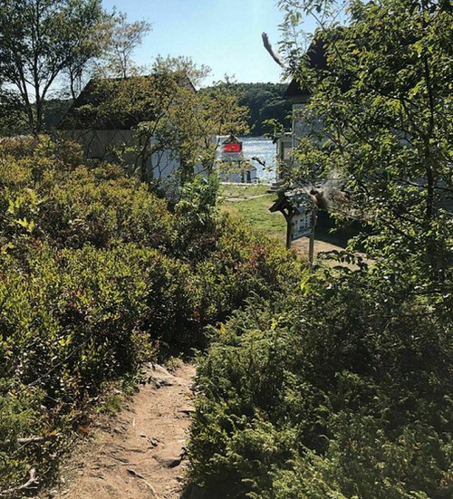 A scenic view of a path through greenery leading to a lake, with a signpost and buildings in the background.