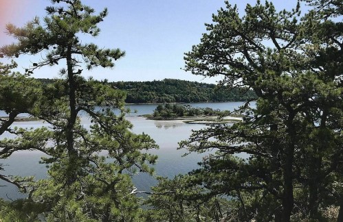 A serene view of a lake surrounded by lush green trees and a distant island under a clear blue sky.