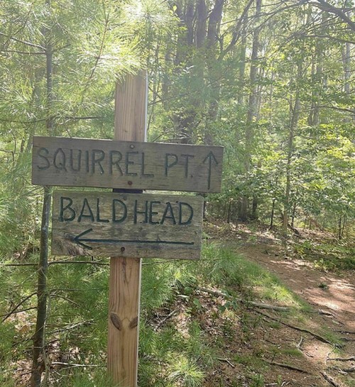 Wooden signpost in a forest directing to Squirrel Point and Baldhead, with arrows indicating the paths.