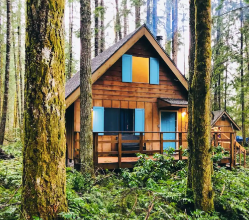 A cozy wooden cabin nestled among tall trees in a lush forest, featuring blue shutters and a welcoming porch.