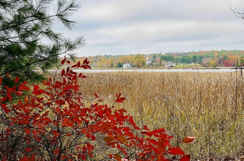 A serene landscape featuring a field of tall grasses, autumn foliage, and a distant view of a lake and trees.