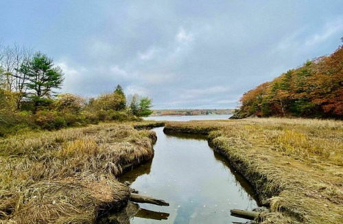 A serene landscape featuring a winding stream surrounded by tall grasses and trees with autumn foliage under a cloudy sky.